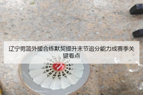 辽宁男篮外援合练默契提升末节追分能力成赛季关键看点